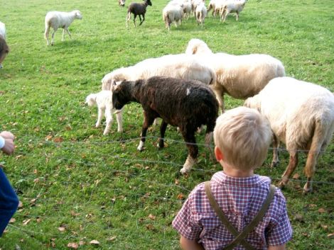 43.jpg, 91640 bytes, 26/11/03