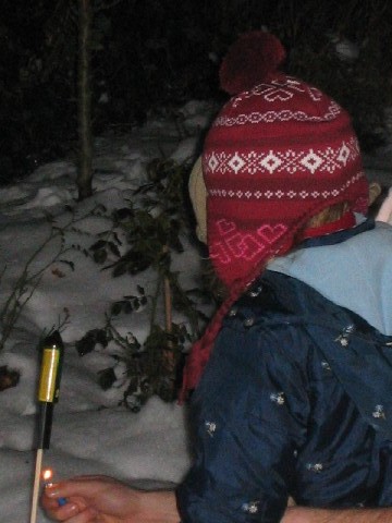 weihn038.jpg, 50285 bytes, 03/01/2005