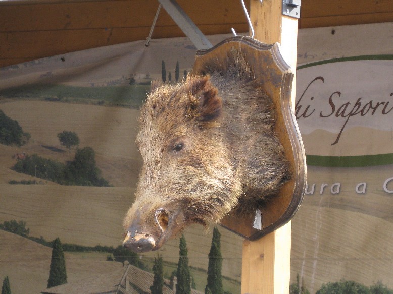 IMG_1676.JPG, 129357 bytes, 02/07/2008